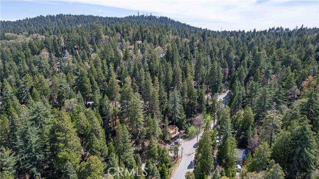 Detail Gallery Image 19 of 26 For 26131 Lake Forest Dr, Twin Peaks,  CA 92391 - 3 Beds | 3 Baths