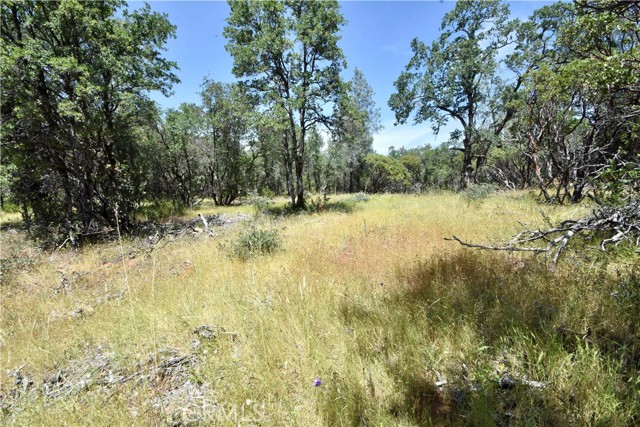 0 Mackey Court, Oroville CA: https://media.crmls.org/medias/5f05ab90-4e9b-4598-864f-eb37faecc12a.jpg