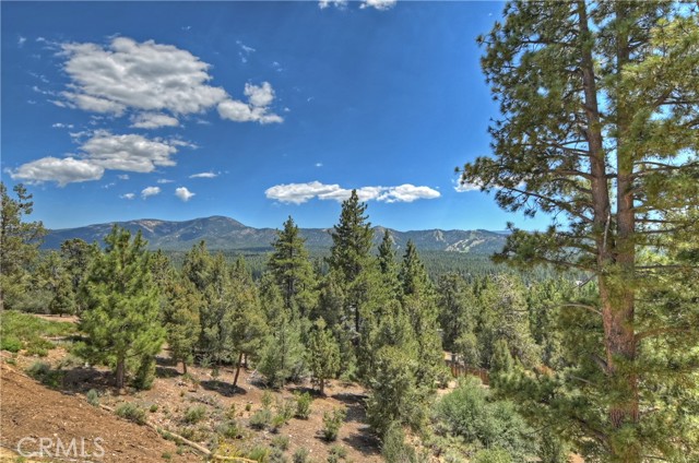 Detail Gallery Image 3 of 74 For 1101 Mound St, Big Bear City,  CA 92314 - 7 Beds | 4/2 Baths