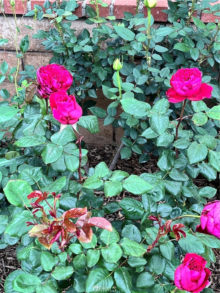 https://media.crmls.org/medias/5f0b86b6-1cea-4ab3-91c5-80fee989ff75.jpg?preset=X-Large