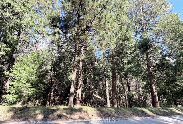 Detail Gallery Image 10 of 12 For 0 Hook Creek, Cedar Glen,  CA 92321 - – Beds | – Baths