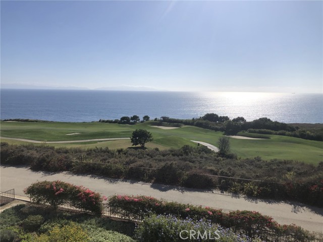 Depending on the time of day, the view constantly changes, notice the shadows from the foliage.