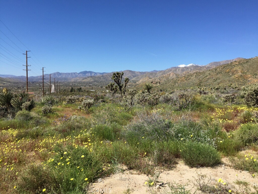 0 Scholl Road, Morongo Valley, CA 92256