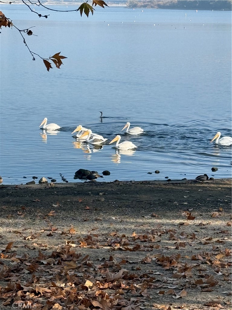 https://media.crmls.org/medias/5f206926-e604-448e-8112-2ef532ad4d1e.jpg?preset=X-Large