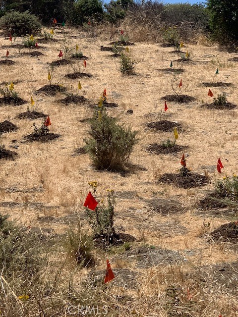 MLS #HD24144189 image #18