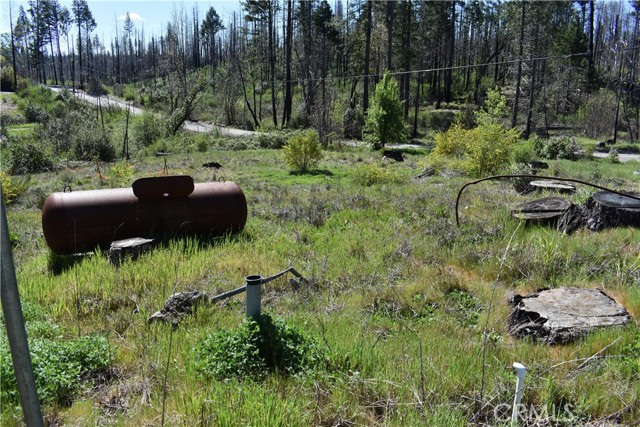 Detail Gallery Image 11 of 17 For 6 Sugar Pine, Berry Creek,  CA 95916 - – Beds | – Baths