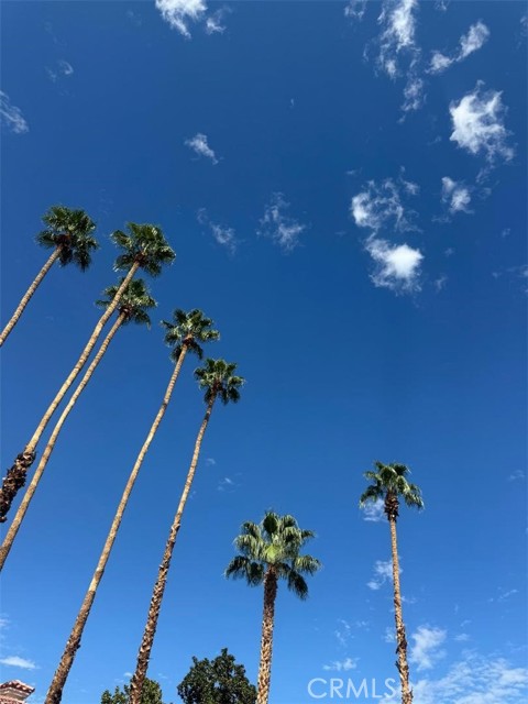 Detail Gallery Image 19 of 20 For 2701 E Mesquite, Palm Springs,  CA 92264 - 2 Beds | 2 Baths