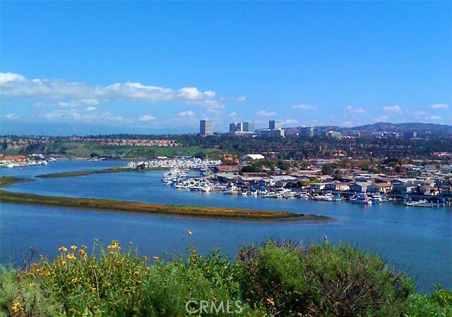 Detail Gallery Image 2 of 39 For 237 Plymouth Ave, Newport Beach,  CA 92660 - 3 Beds | 2 Baths