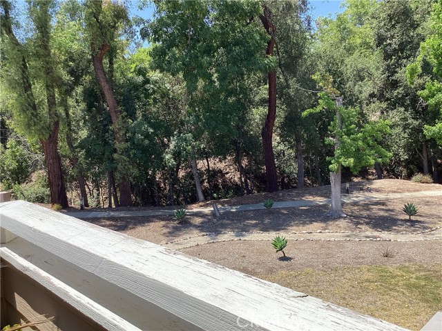 23531 Avenida La Caza, Coto de Caza CA: https://media.crmls.org/medias/5f341fb7-a8d7-4269-aadb-6d257daf4e6e.jpg
