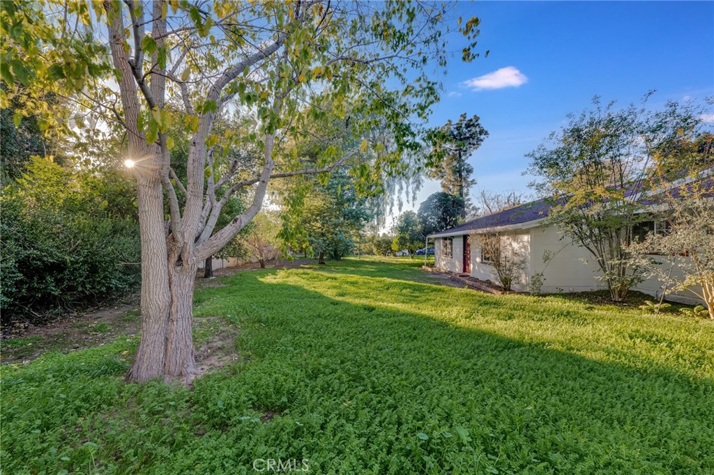 MLS #SR25275172 image #34