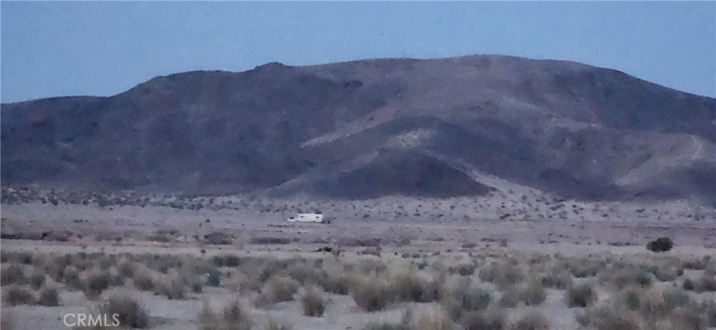 MLS #JT25139069 image #3