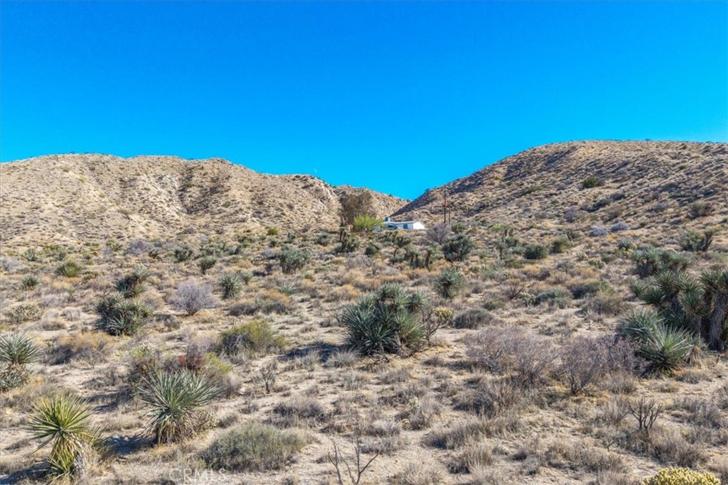 MLS #JT25257903 image #19