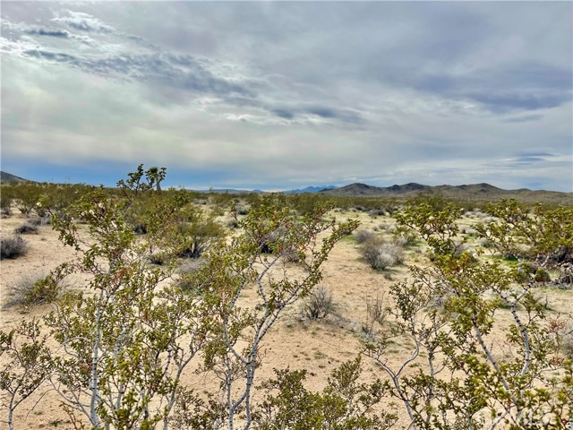 Detail Gallery Image 9 of 12 For 0 Willies Way, Joshua Tree,  CA 92285 - – Beds | – Baths