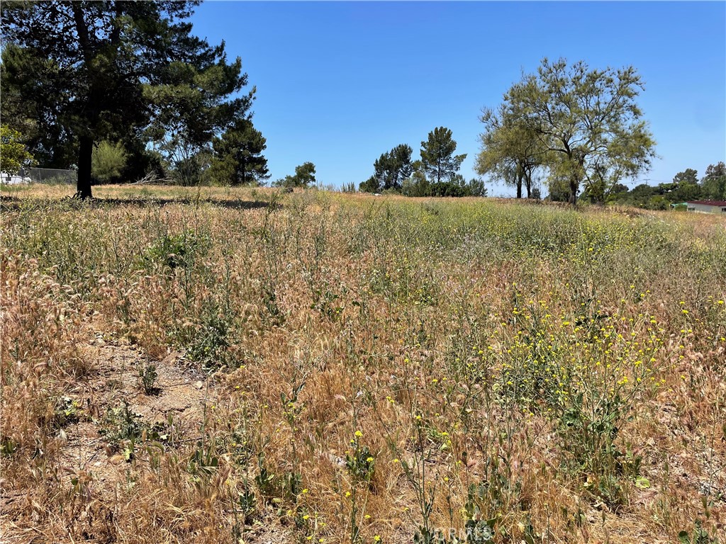 Linda Vista Drive - photo 12