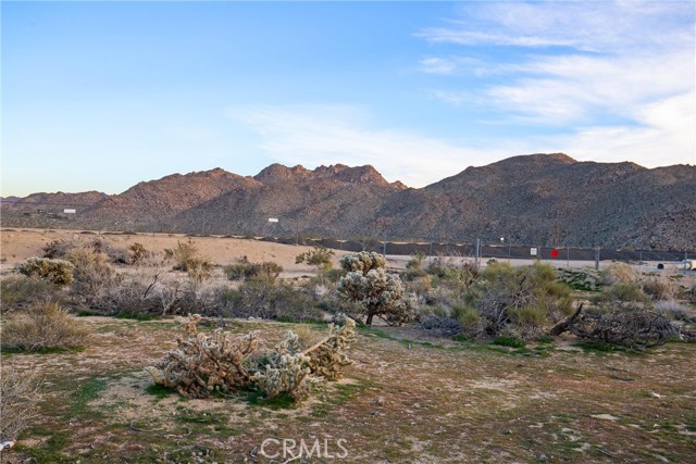 Front Image Thumbnail for CROC26017264