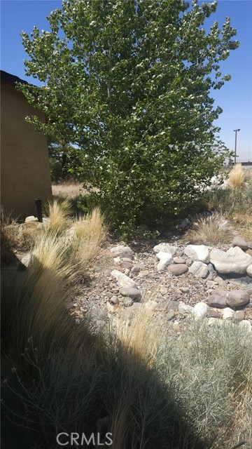 Detail Gallery Image 30 of 33 For 2910 Silver Ridge Dr, Pinon Hills,  CA 92372 - 4 Beds | 3 Baths