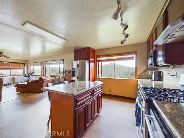 Detail Gallery Image 18 of 47 For 80401 Road 442c, Leggett,  CA 95587 - 3 Beds | 2 Baths