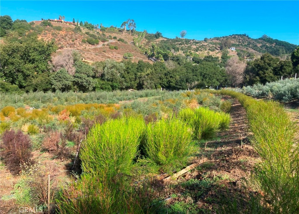 MLS #SW24226307 img 4