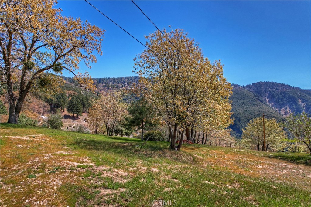25 Pine Cone Curve, Running Springs, CA 92382