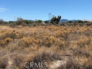 13025 Stuveling, Oak Hills CA: https://media.crmls.org/medias/5f628763-129e-417a-af6c-e61f0c19ee91.jpg