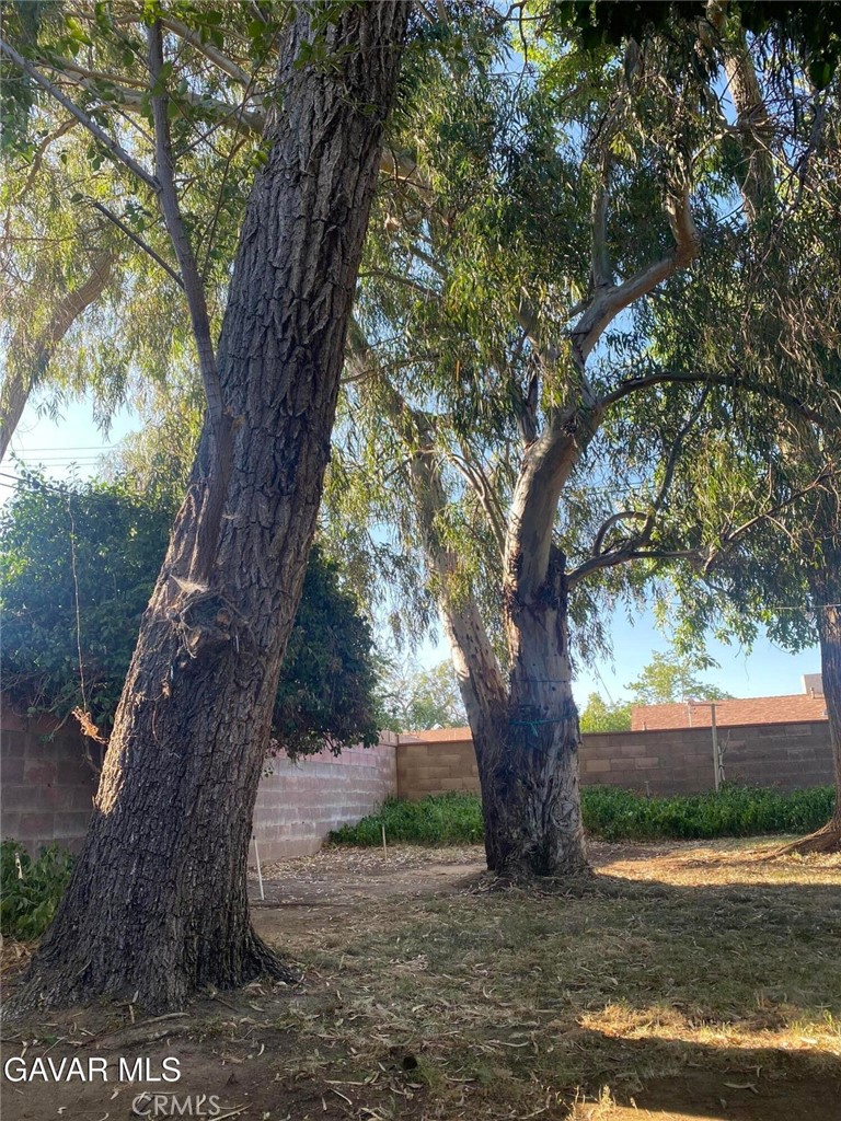 https://media.crmls.org/medias/5f62de4b-a02e-45c8-9da7-2e3620721e94.jpg?preset=X-Large