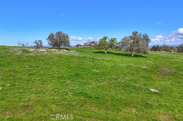 Detail Gallery Image 9 of 19 For 0 39.89 Ac Road 613, Raymond,  CA 93653 - – Beds | – Baths