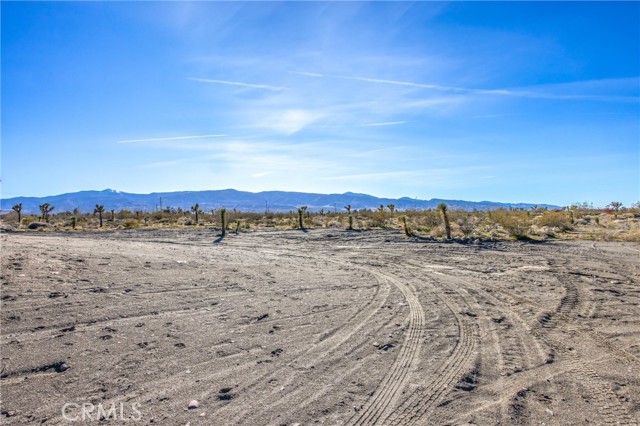 Detail Gallery Image 42 of 61 For 11788 Buckwheat, Pinon Hills,  CA 92371 - 4 Beds | 2 Baths