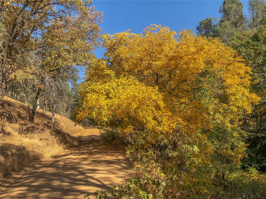 Detail Gallery Image 58 of 75 For 4743 Buffalo Gulch Rd, Midpines,  CA 95345 - – Beds | – Baths