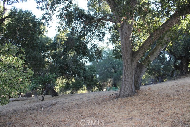 Detail Gallery Image 46 of 47 For 3700 Arena Rd, Atascadero,  CA 93422 - 4 Beds | 2/1 Baths