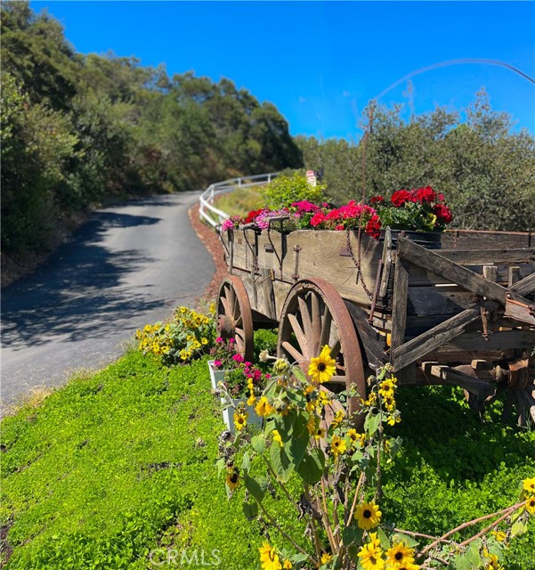 19041 Live Oak Canyon Road, Trabuco Canyon CA: https://media.crmls.org/medias/5f6e671a-1512-4918-8007-6377cff6b3fc.jpg
