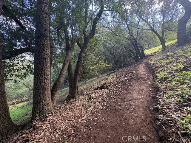 Detail Gallery Image 4 of 20 For 12000 San Marcos, Atascadero,  CA 93422 - – Beds | – Baths