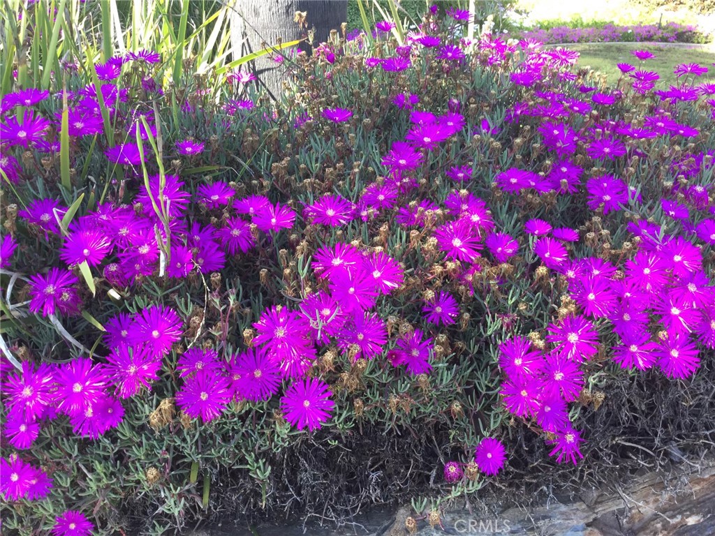 https://media.crmls.org/medias/5f77260a-7bee-4848-ae18-2d677fae70a4.jpg?preset=X-Large