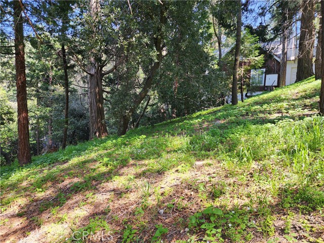 Detail Gallery Image 17 of 21 For 811 Deer Trl, Crestline,  CA 92325 - – Beds | – Baths