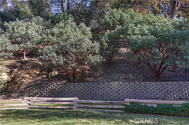 Detail Gallery Image 63 of 70 For 49873 Sunset, Coarsegold,  CA 93614 - 3 Beds | 2 Baths