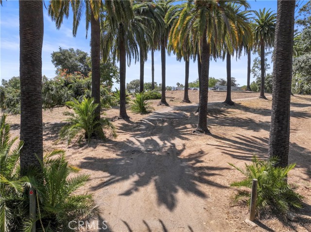 3210 Live Oak Park Rd, Fallbrook, California 92028, ,Residential Land,For Sale,Live Oak Park Rd,SW24116983