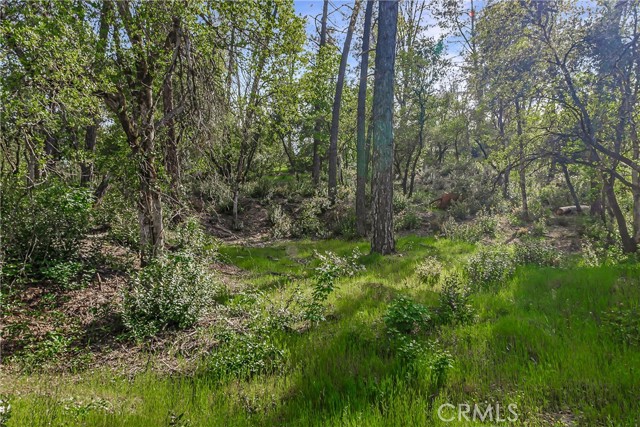 Detail Gallery Image 15 of 19 For 9200 Silver King Rd, Redding,  CA 96001 - – Beds | – Baths