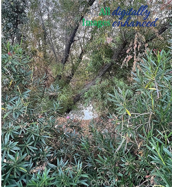 Detail Gallery Image 5 of 9 For 12230 Cerrito Dr, Clearlake Oaks,  CA 95423 - – Beds | – Baths