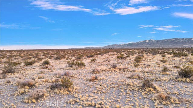  Land for Sale in Phelan, California