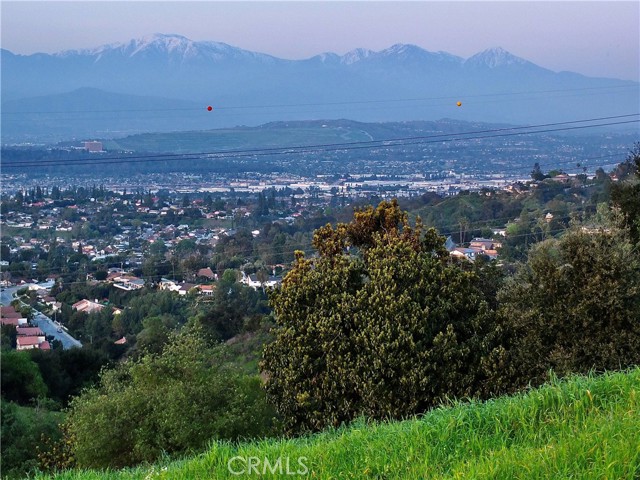 0 Casalero, La Habra Heights CA: https://media.crmls.org/medias/5f8bb2a4-a381-4b7c-b242-5be1f8d9b199.jpg