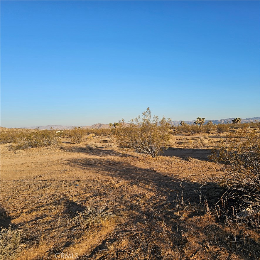 MLS #JT25169268 image #3