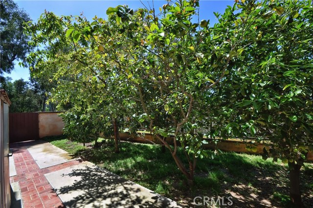 3463 Tanglewood Lane, Rolling Hills Estates, California 90274, 9 Bedrooms Bedrooms, ,6 BathroomsBathrooms,Residential,Sold,Tanglewood,PV17073762