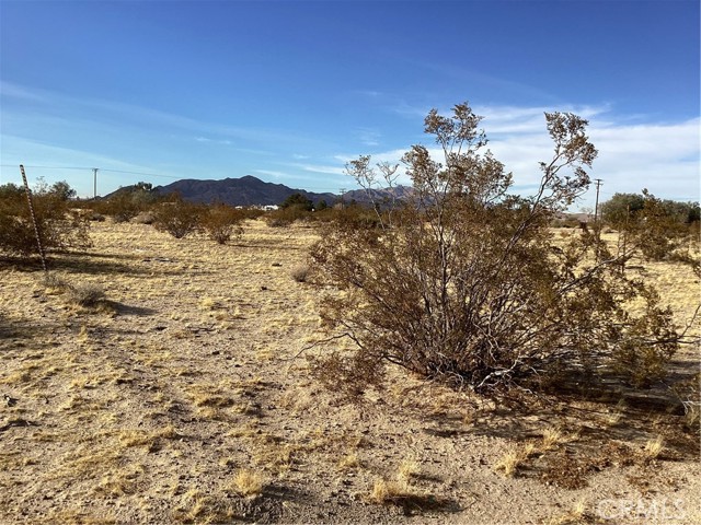 Detail Gallery Image 12 of 14 For 42979 Mandrill St, Newberry Springs,  CA 92365 - – Beds | – Baths