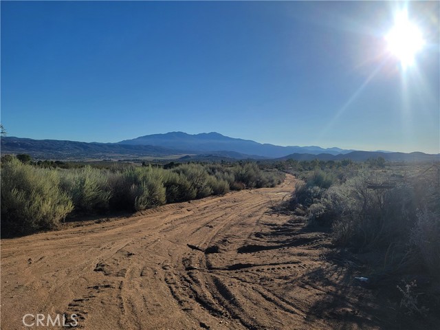 Detail Gallery Image 30 of 46 For 44451 Jay Dr, Anza,  CA 92539 - 3 Beds | 2 Baths
