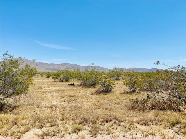 Detail Gallery Image 5 of 5 For 19299 via Vista, Apple Valley,  CA 92307 - – Beds | – Baths