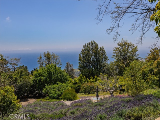 7 Cinchring Road, Rolling Hills CA: https://media.crmls.org/medias/5f9f4635-8fa2-4f33-89c5-c7e983af4c9b.jpg