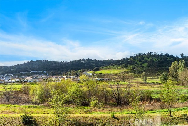 Detail Gallery Image 28 of 63 For 28427 Farm Creek Way, Valley Center,  CA 92082 - 4 Beds | 3 Baths