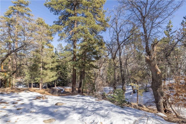 Detail Gallery Image 2 of 19 For 0 Pigeon Rd, Big Bear Lake,  CA 92315 - – Beds | – Baths