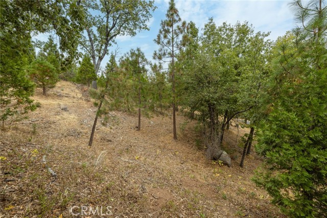 Detail Gallery Image 36 of 55 For 26 Timberview, North Fork,  CA 93643 - – Beds | – Baths