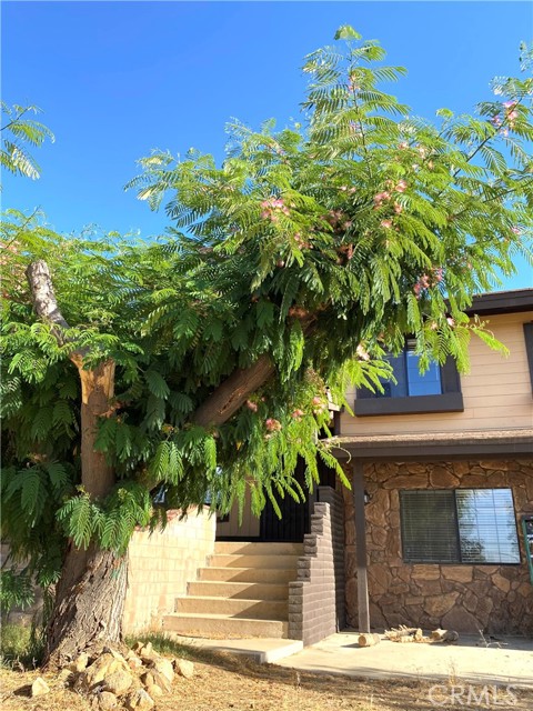 Detail Gallery Image 3 of 25 For 984 Pinon Rd, Pinon Hills,  CA 92372 - 3 Beds | 2/1 Baths