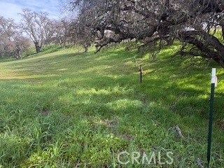 Detail Gallery Image 2 of 8 For 0 177-178 Unnamed Rd, Paso Robles,  CA 93446 - – Beds | – Baths